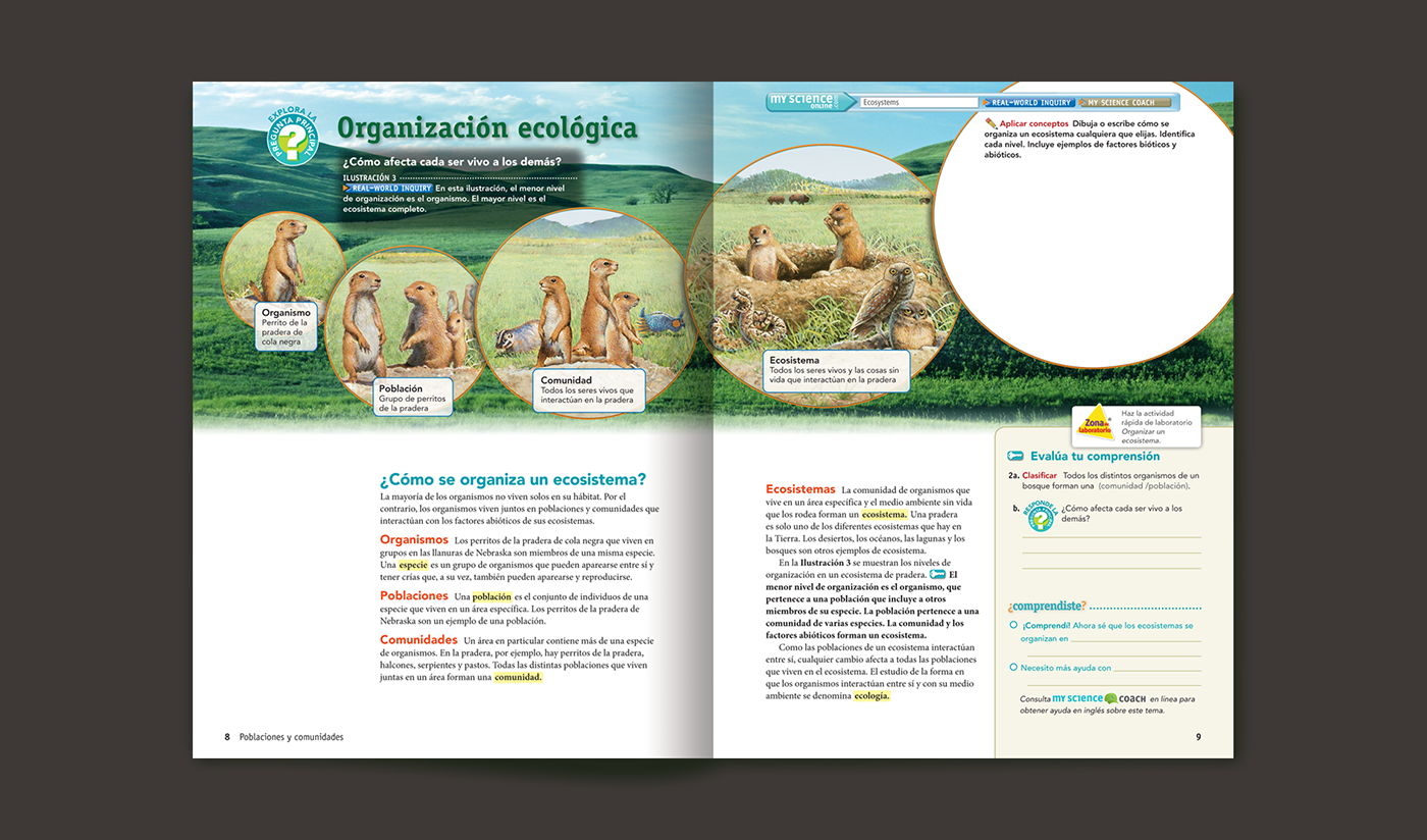 Producción editorial para Pearson Education — imagen 3