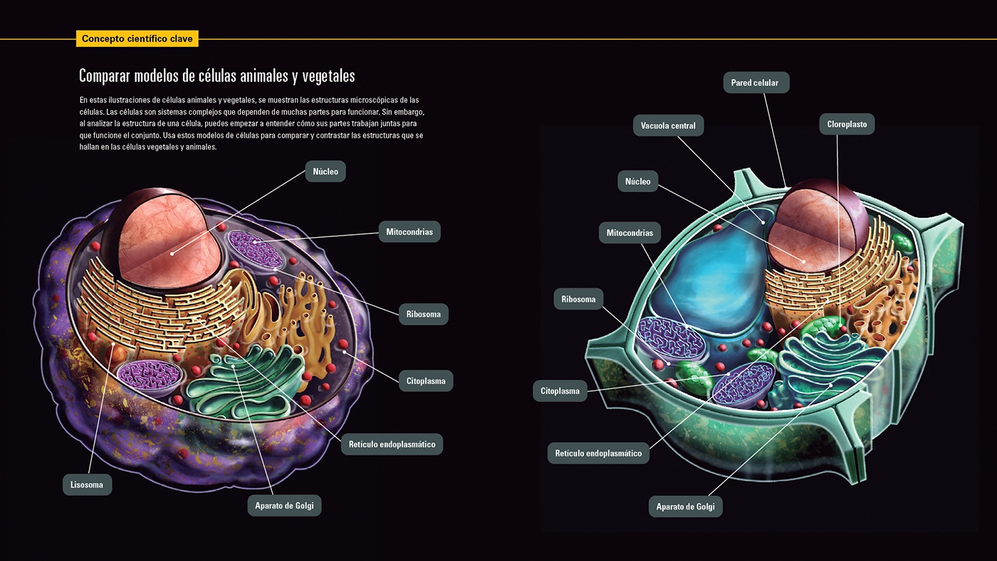 Doble página de Las ciencias toman vida