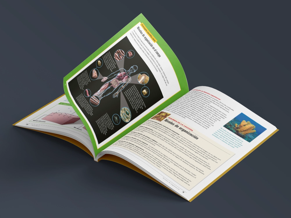 Sistema editorial aplicado a contenido científico