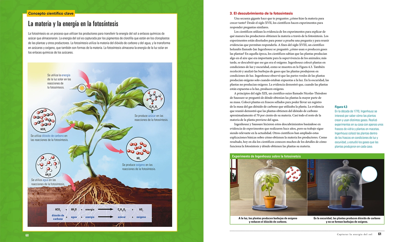 Pieza horizontal de la adaptación editorial al español