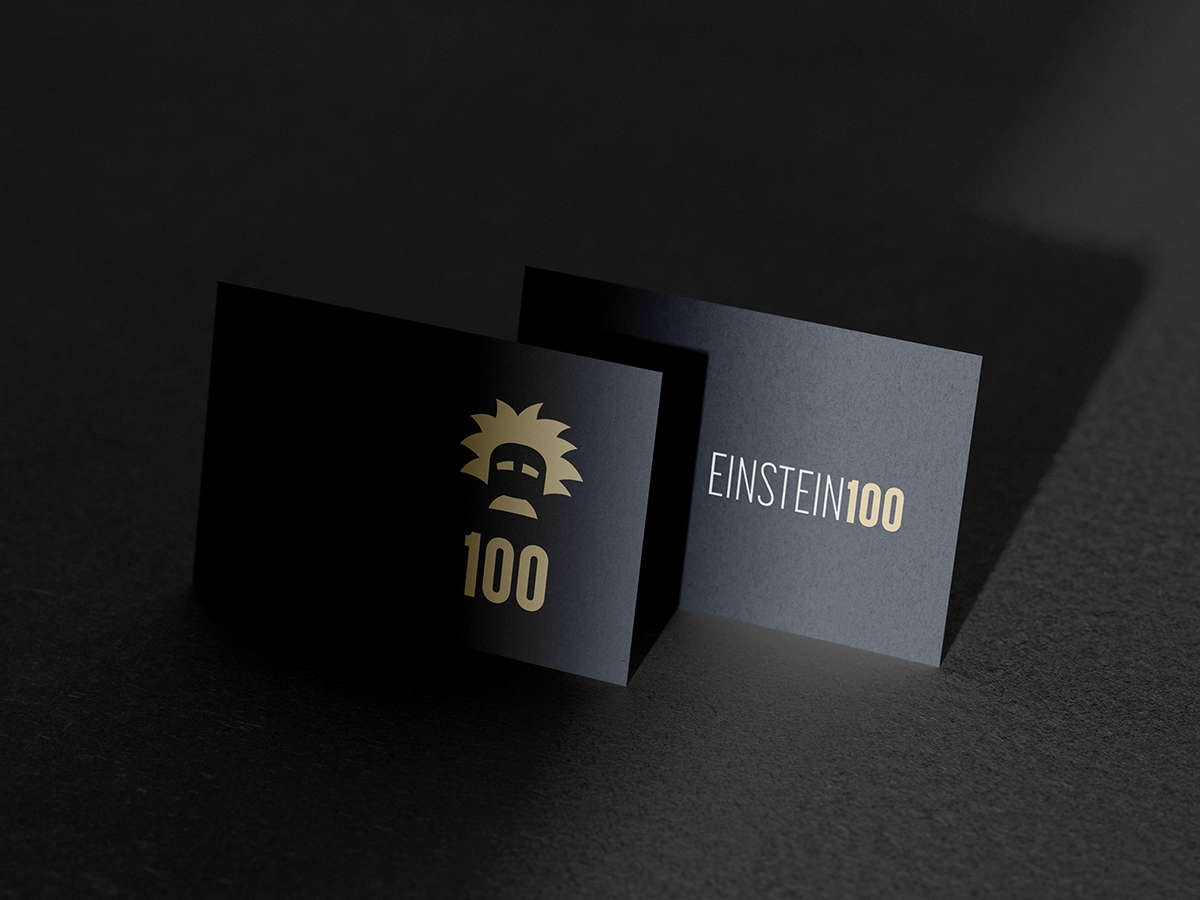 Piezas iniciales del sistema visual Einstein100